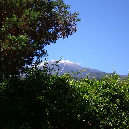 B&B Sotto I Pini Zafferana Etnea Εξωτερικό φωτογραφία