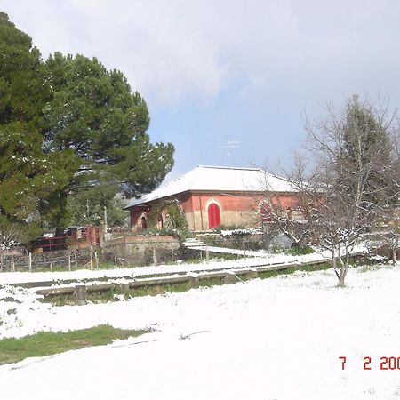 B&B Sotto I Pini Zafferana Etnea Εξωτερικό φωτογραφία
