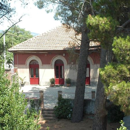 B&B Sotto I Pini Zafferana Etnea Εξωτερικό φωτογραφία