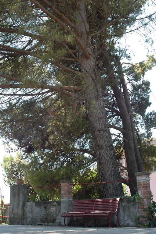 B&B Sotto I Pini Zafferana Etnea Εξωτερικό φωτογραφία