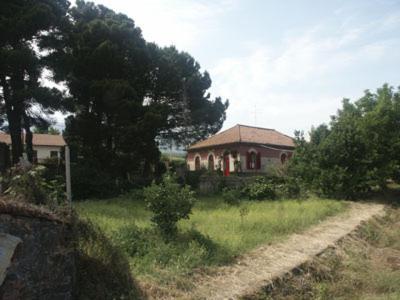 B&B Sotto I Pini Zafferana Etnea Εξωτερικό φωτογραφία