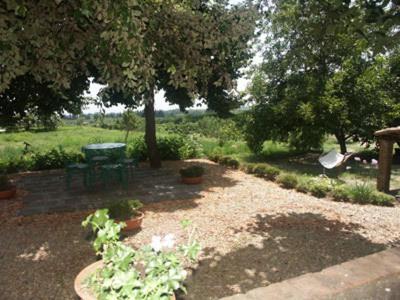 B&B Sotto I Pini Zafferana Etnea Εξωτερικό φωτογραφία
