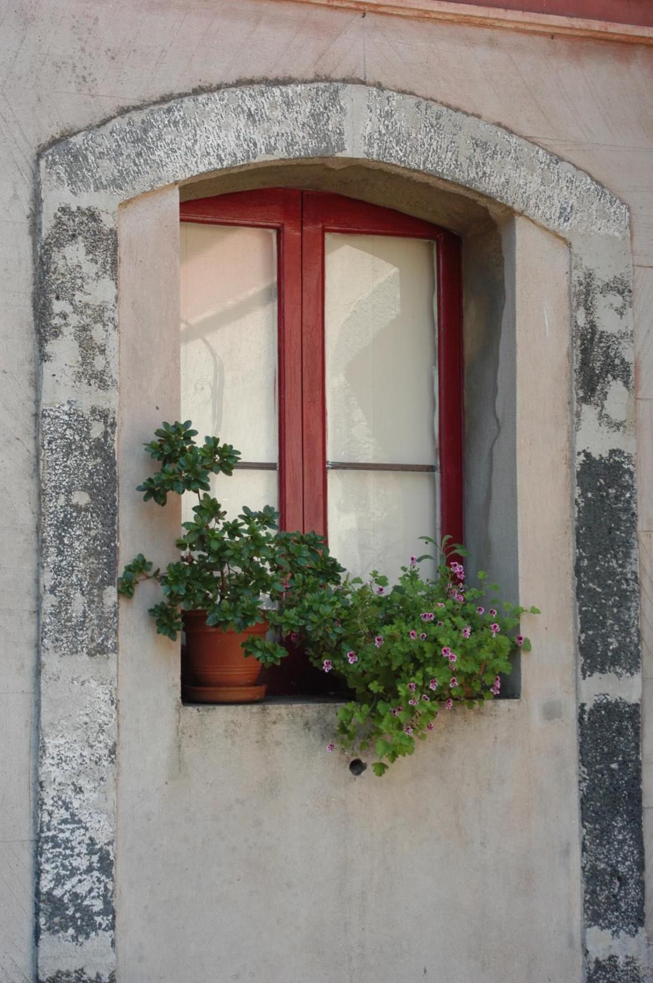B&B Sotto I Pini Zafferana Etnea Εξωτερικό φωτογραφία
